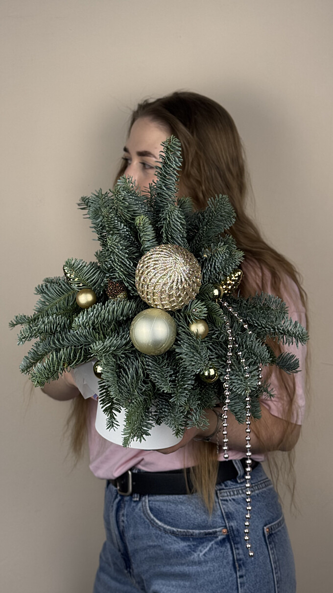  Дыхание морозного утра