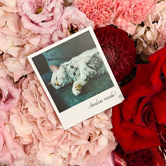  Фотокарточка от PIONFLO