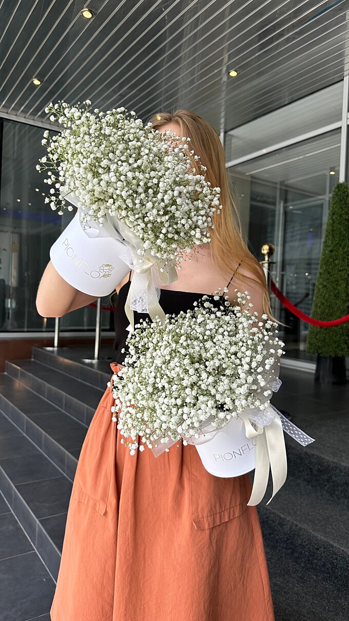  Гипсофила в коробочке