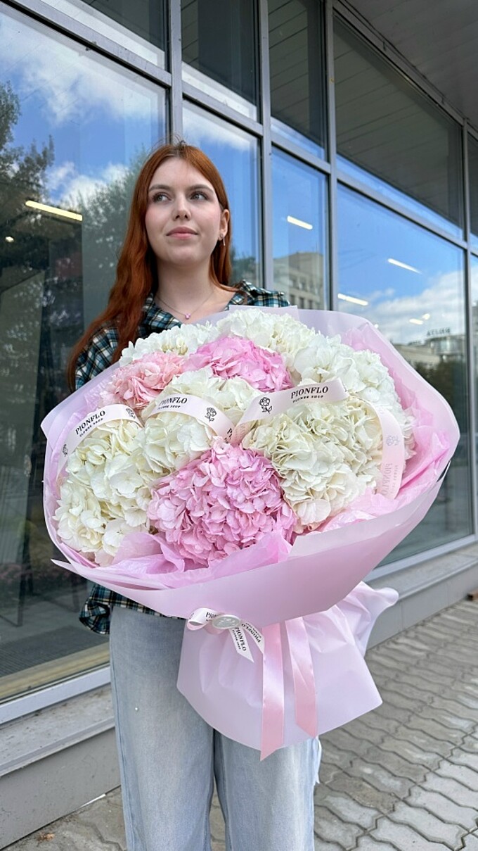  Гортензии розовые и белые