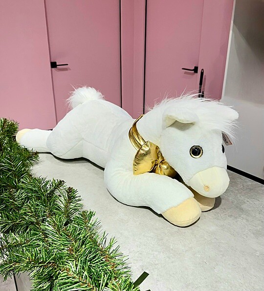  Лошадка Донна