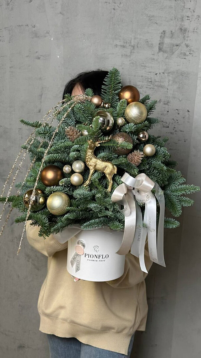  Лунный свет на еловых ветках