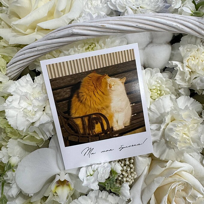  Мини-открытка от PIONFLO