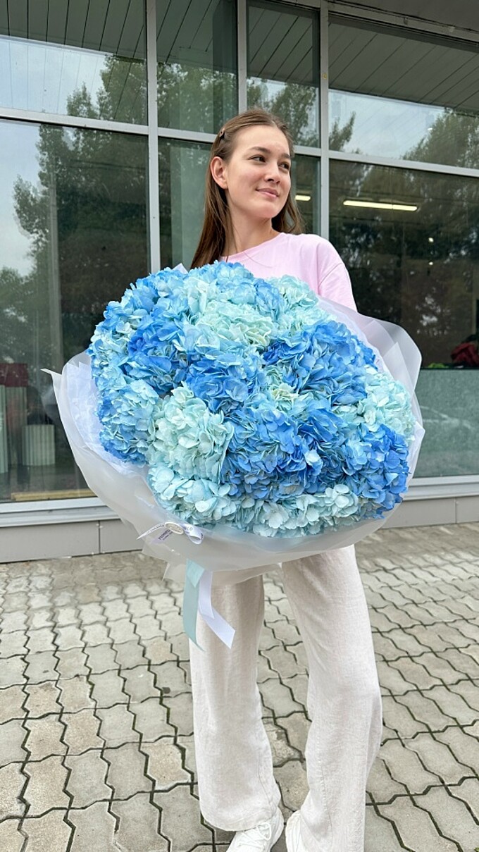  Облако гортензий