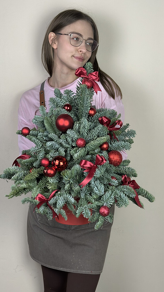  Письмо Деду Морозу