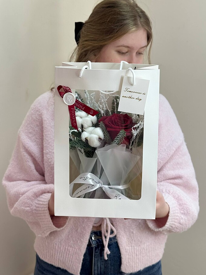  Снежный комплимент