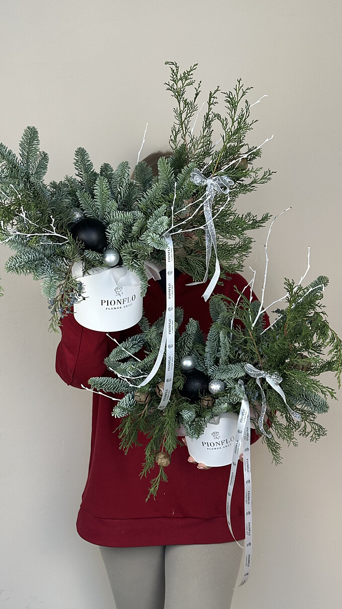  Торжество зимнего волшебства