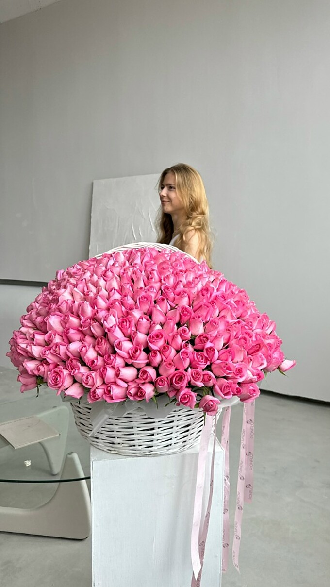  WOW 201 - розовая Роза