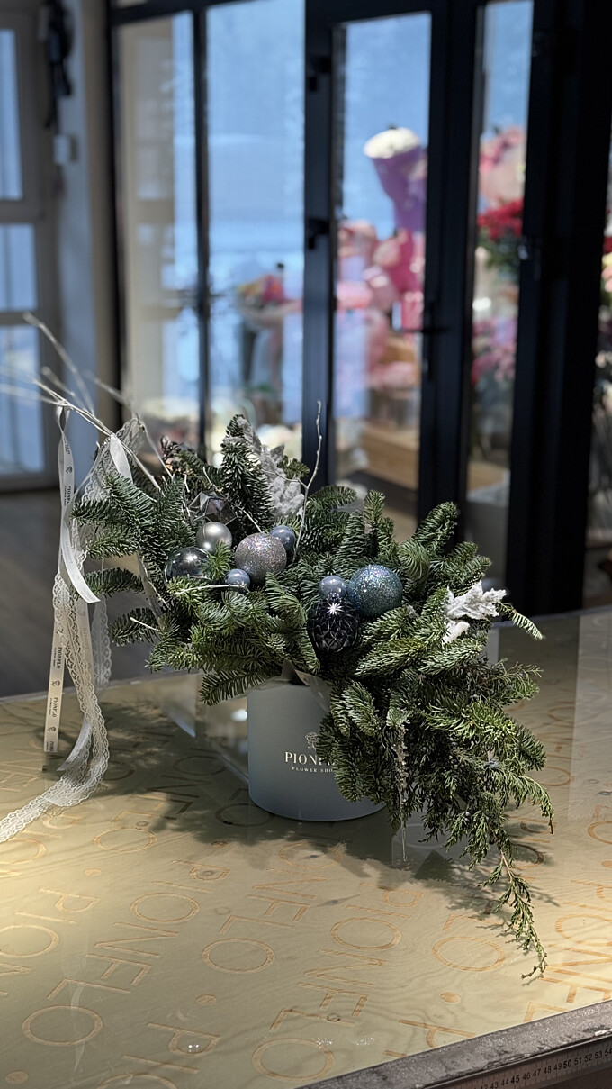  Ёлочные приключения