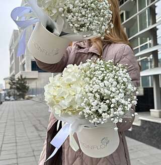 Белоснежные коробки с гипсофилой