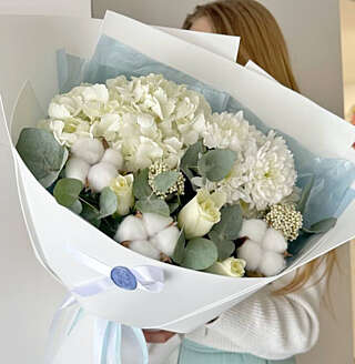 Белый лебедь