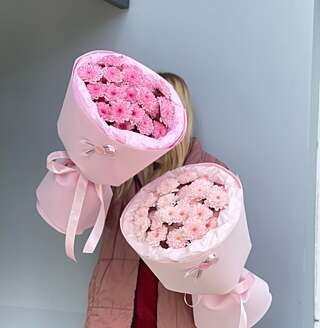 Близняшки хризантема