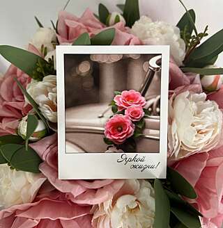 Фотокарточка яркой жизни от PIONFLO