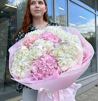 Гортензии розовые и белые