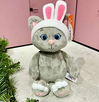 Котик Грей в повязке