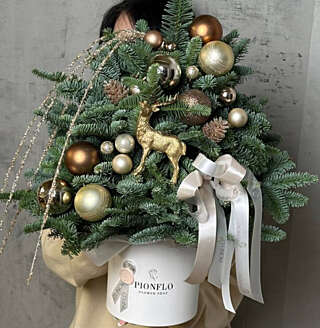 Лунный свет на еловых ветках