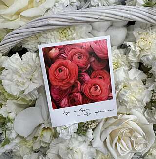 Мини-открытка от PIONFLO