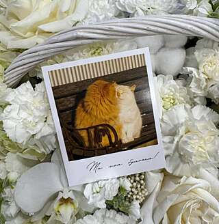 Мини-открытка от PIONFLO