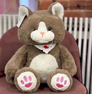 Мягкая игрушка кот от PIONFLO