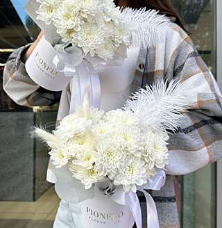 Стойкие коробочки