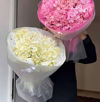 Воздушные  букеты с гортензиями от PIONFLO