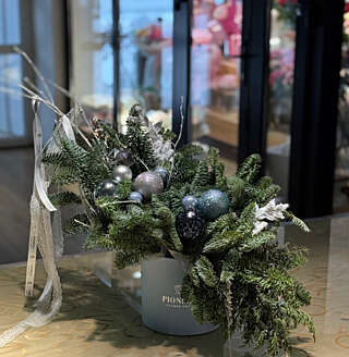 Ёлочные приключения