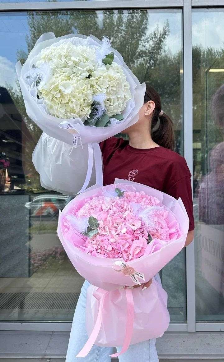 Нежное облако