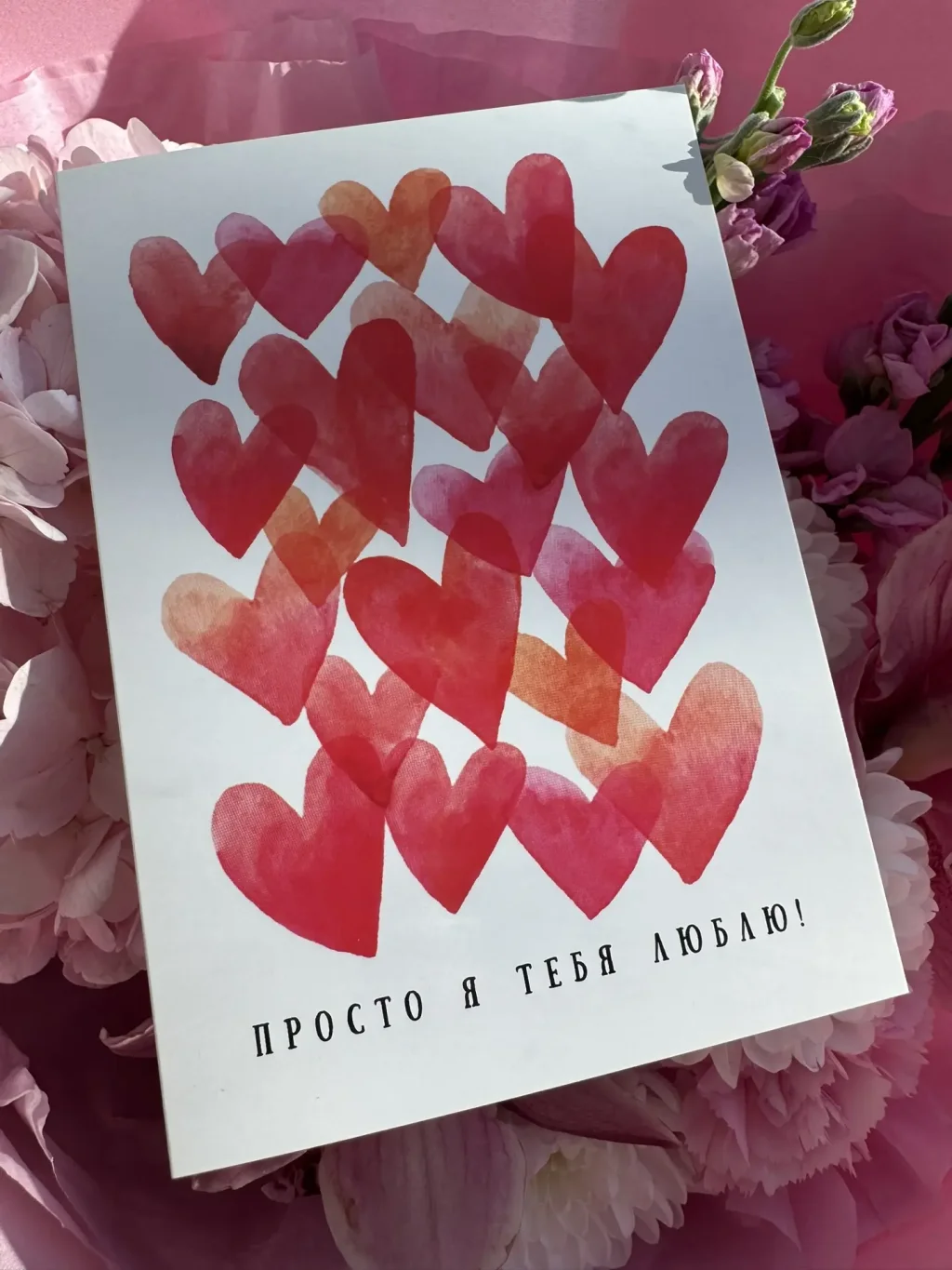 Открытка от PIONFLO