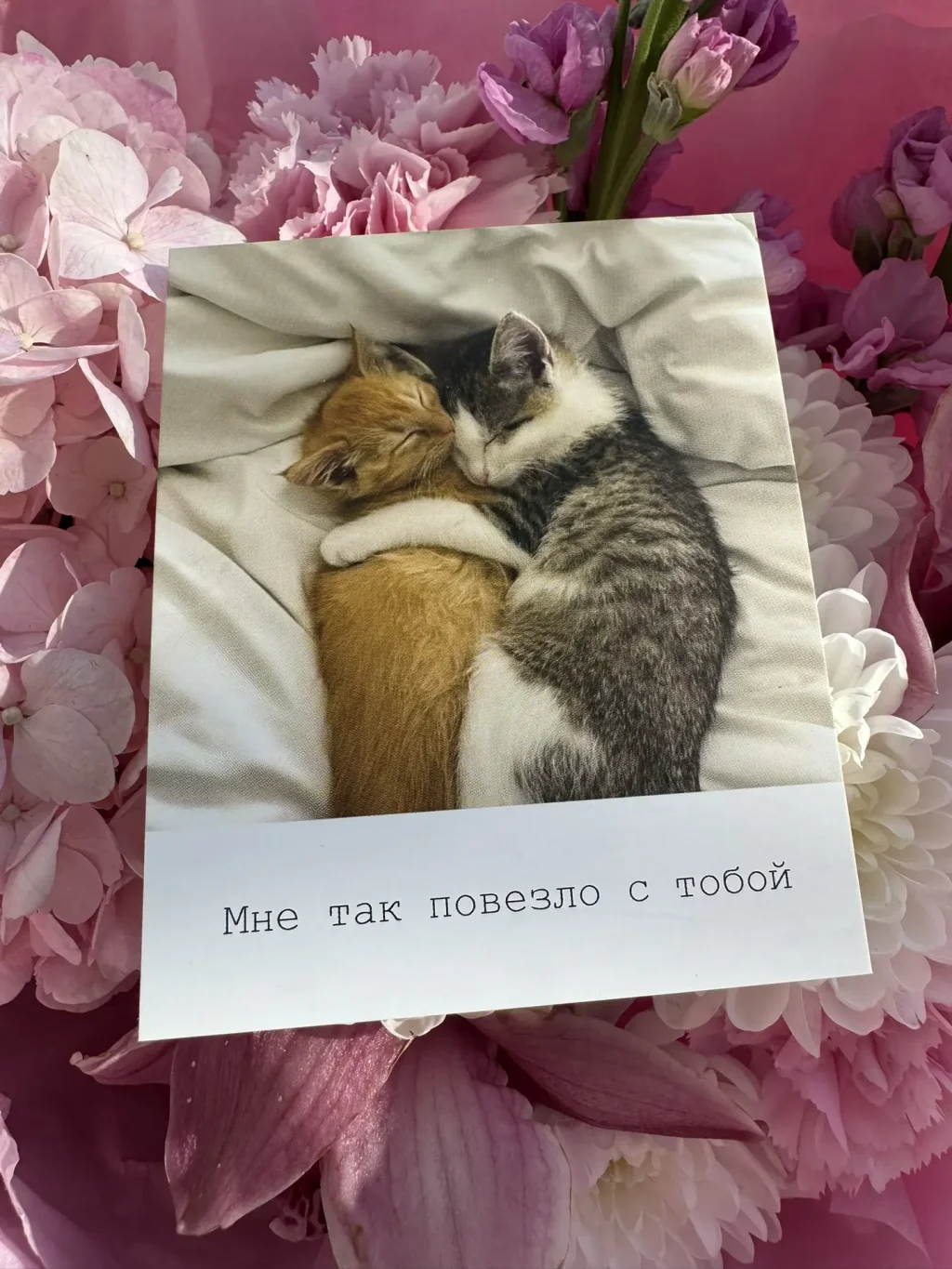 Открытка от PIONFLO