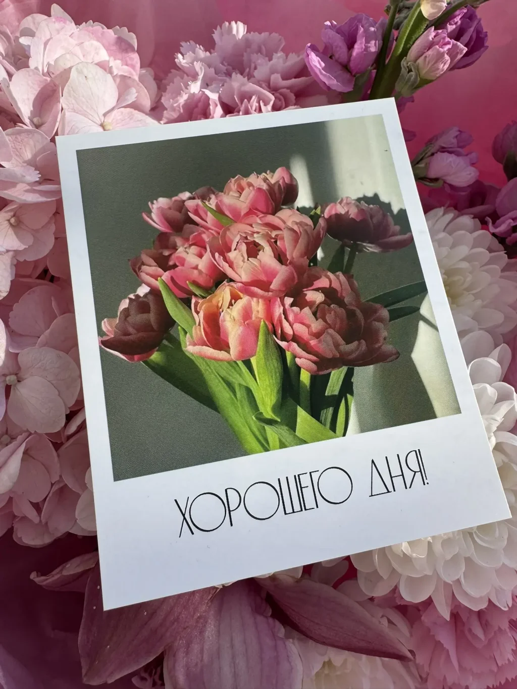Открытка от PIONFLO